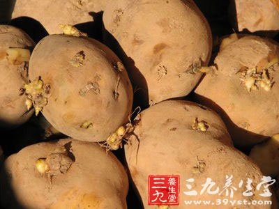 饮食禁忌——发芽马铃薯