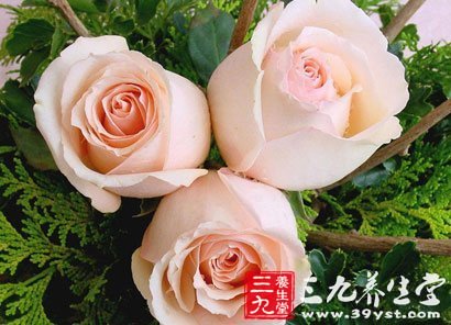 玫瑰酱的功效与作用 - 三九养生堂