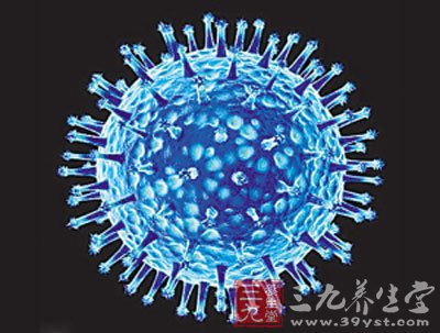 h7n9最新消息 北京解除禽流感应急方案(2)