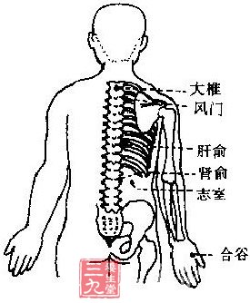 志室 - 经络腧穴 - 三九养生堂(m.39yst.com)