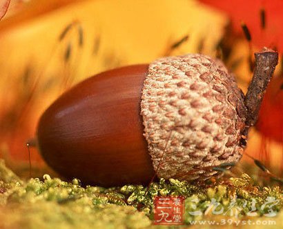 榛子的营养价值