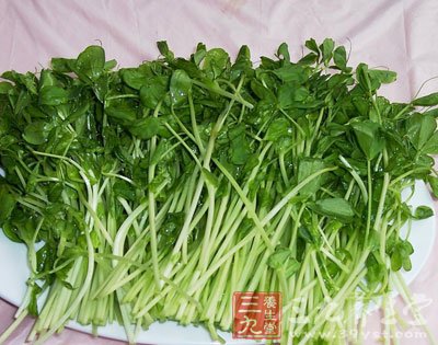 适合吃的蔬菜莫过于豌豆苗