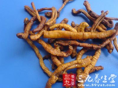 知母解(张锡纯)