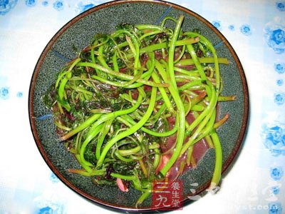 苋科苋属一年生草本植物