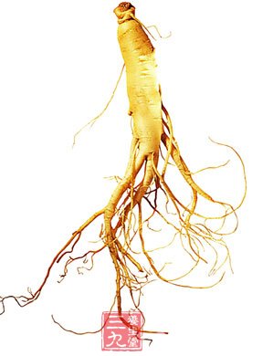 怀孕期间不能吃腌制食品