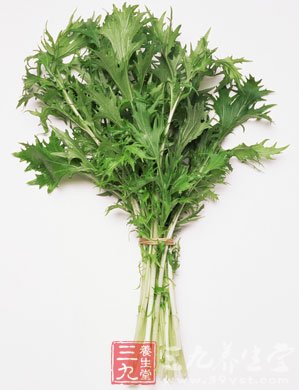 艾草与中国人的生活有着密切的关系