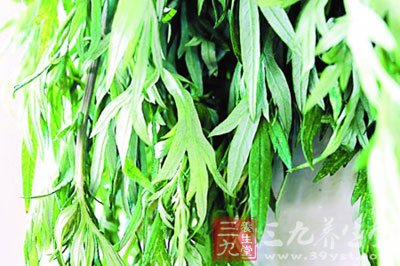 用艾草整株浸泡入热水洗脸是可以的