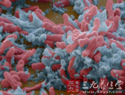 空调细菌堪比马桶 细菌的危害是什么(2)