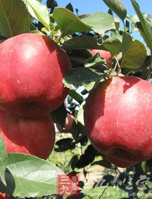每天连皮吃一个苹果还能避免中风