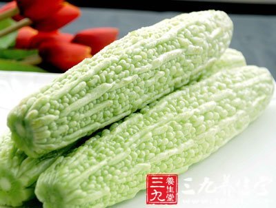 生吃苦瓜不减肥且易不孕