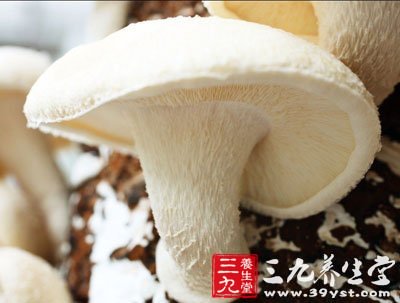 蘑菇可以預(yù)防乳腺癌