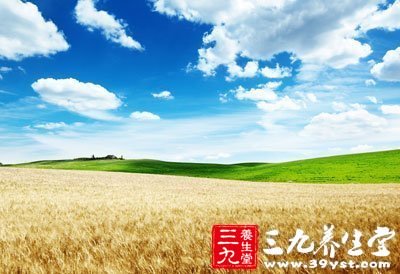 小麦治自汗盗汗