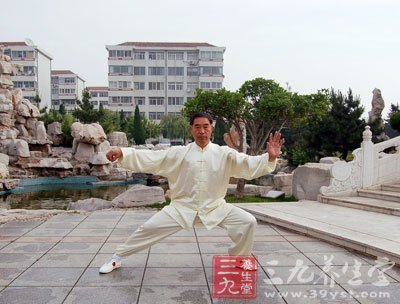 陈氏太极拳大架一路 二十式太极拳谱