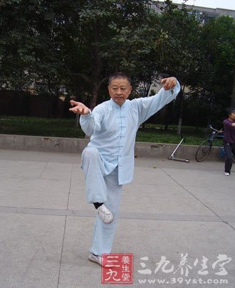 陈氏太极拳大架一路 二十式太极拳谱