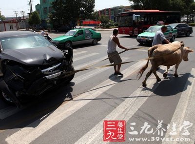 老牛拉破车引热议 夏季开车9个保命注意点
