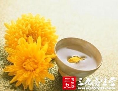 血虚吃丹参菊花茶