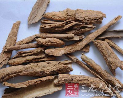 地骨皮的功效与作用