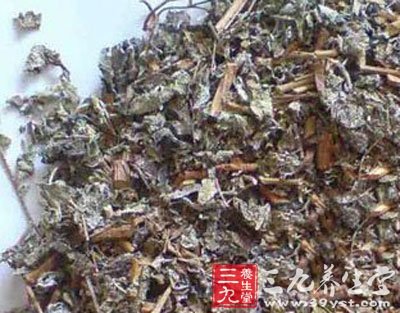 溪黄草的功效与作用