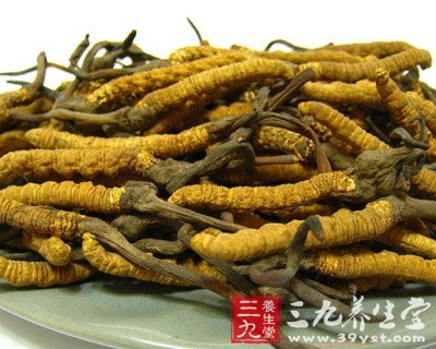 老中医推荐:33种常见补肾食物