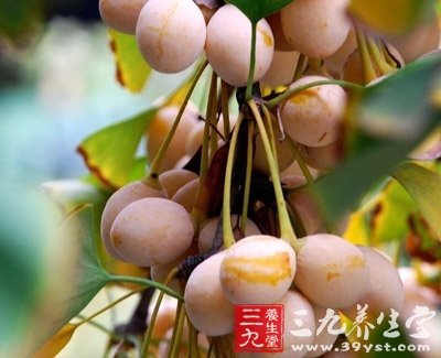 老中医推荐:33种常见补肾食物