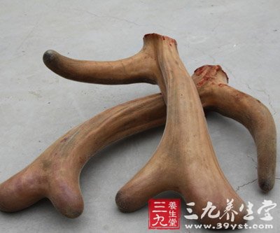 老中医推荐:33种常见补肾食物