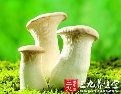 识别毒蘑菇的简便方法