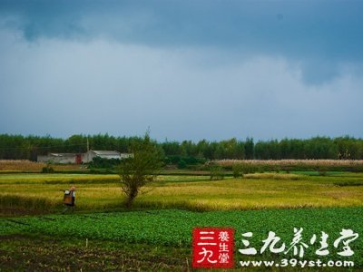 处暑节气主要反映气温季节变化