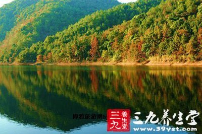 南京棲霞山紅葉如火，層林盡染