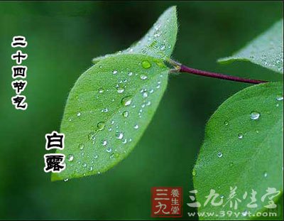 白露如何養(yǎng)生