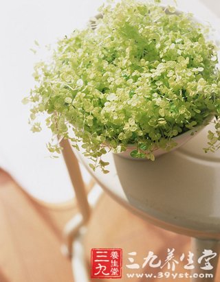 燥热秋季 谨防染上干燥综合症