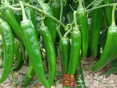 尖椒的营养价值