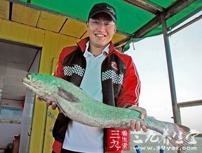 台湾渔民捕获45.5公斤大米鱼 米鱼怎么做最好