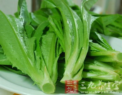 油麦菜的功效与作用 油麦菜的做法有哪些