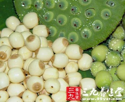 莲子是美容养颜的干果