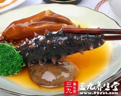 養(yǎng)生珍品海參的營養(yǎng)價值