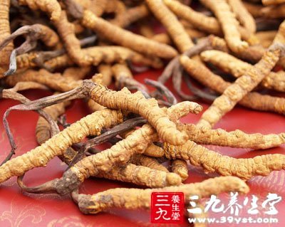 養(yǎng)生珍品冬蟲夏草的營(yíng)養(yǎng)價(jià)值