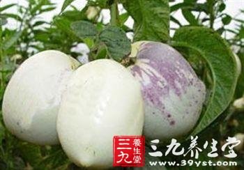 人人参果怎么吃 吃人参果的禁忌