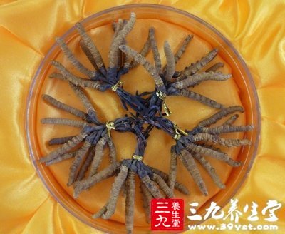 冬蟲(chóng)夏草養(yǎng)生功效高 食用保存都有技巧