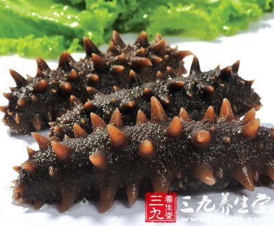干海参和即食海参挑选秘诀
