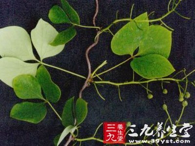首乌藤养发护发
