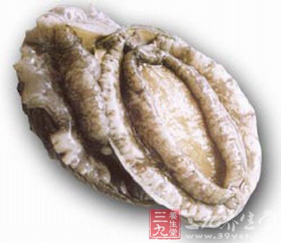 鮑魚的營(yíng)養(yǎng)價(jià)值