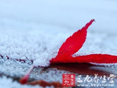 霜降節(jié)氣