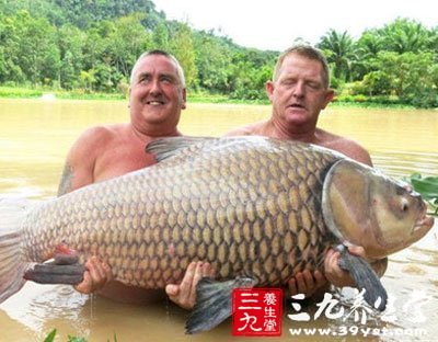 游客在泰国钓到122斤鲤鱼 钓鱼技巧有哪些