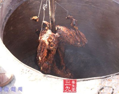新疆烤全骆驼 骆驼肉的食用及药用价值