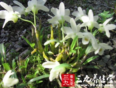 善于養(yǎng)陰生津，治療陰虛津虧諸癥