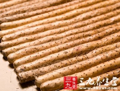 铁棍山药 味甘、性平、无毒，有健脾补肺、固肾益精的功效