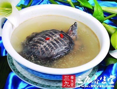 清燉甲魚湯