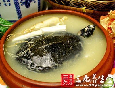 清燉甲魚湯