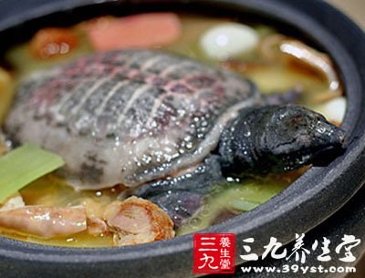 甲魚(yú)豬脊髓湯