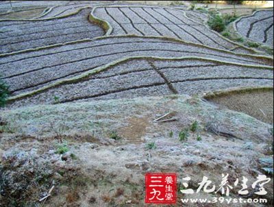 霜降节气